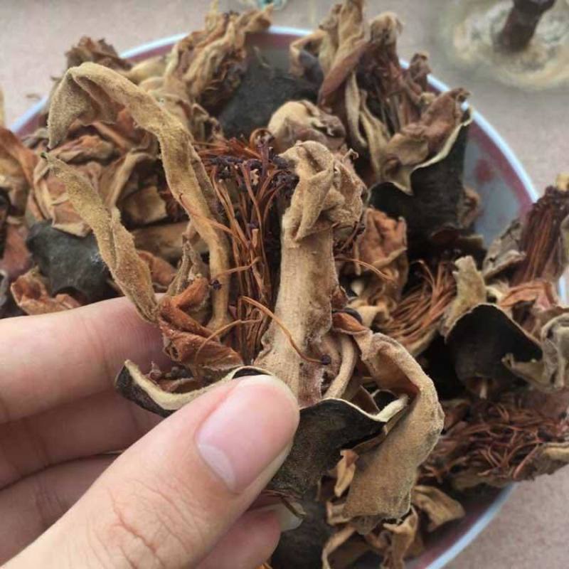 中药材木棉花正宗无硫精选木棉花中药材量大从优
