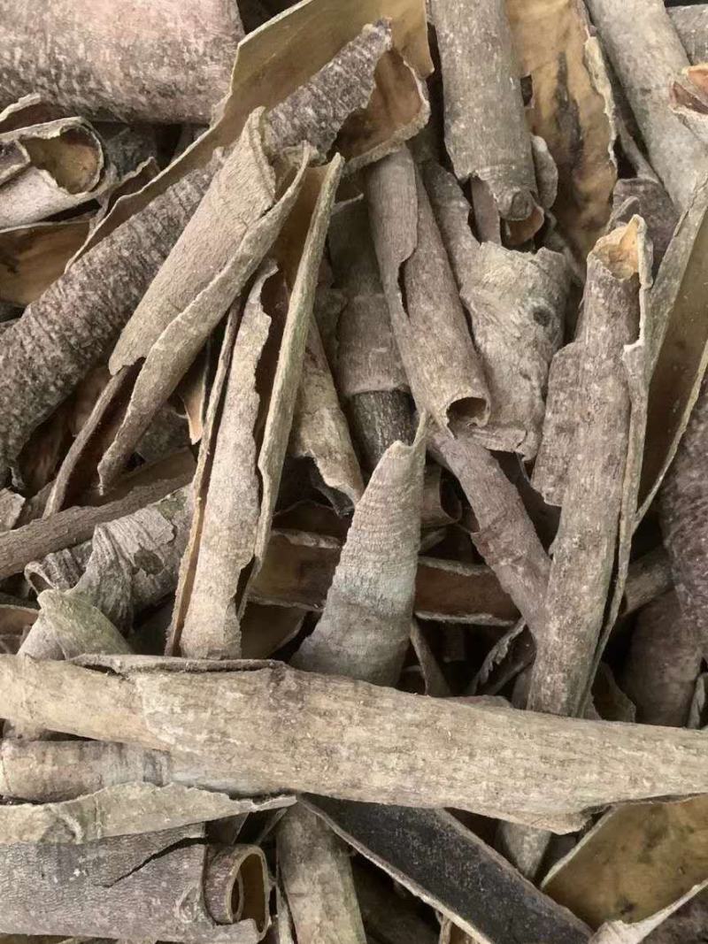 救必应【包邮】三斤起发货可批量可零售量大从优