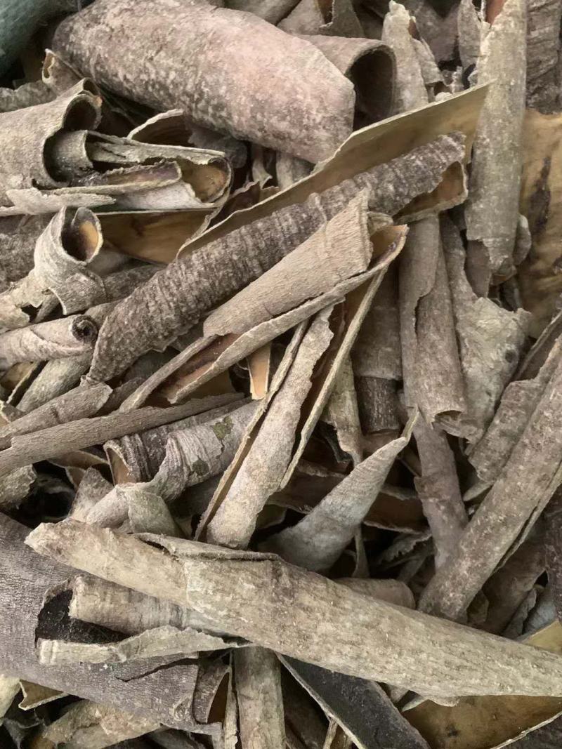 救必应【包邮】三斤起发货可批量可零售量大从优