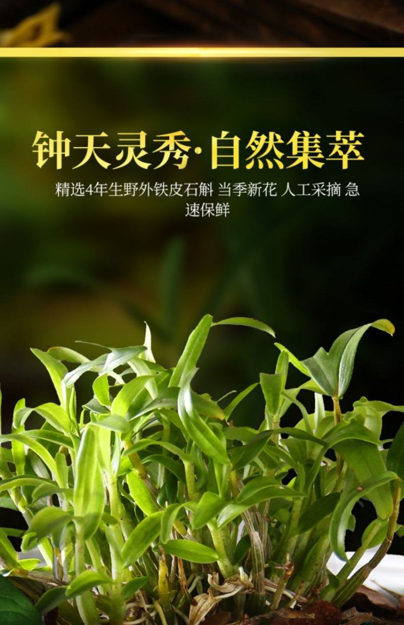 霍山铁石斛花，铁皮石斛花，霍山米斛花，2021年新品上市