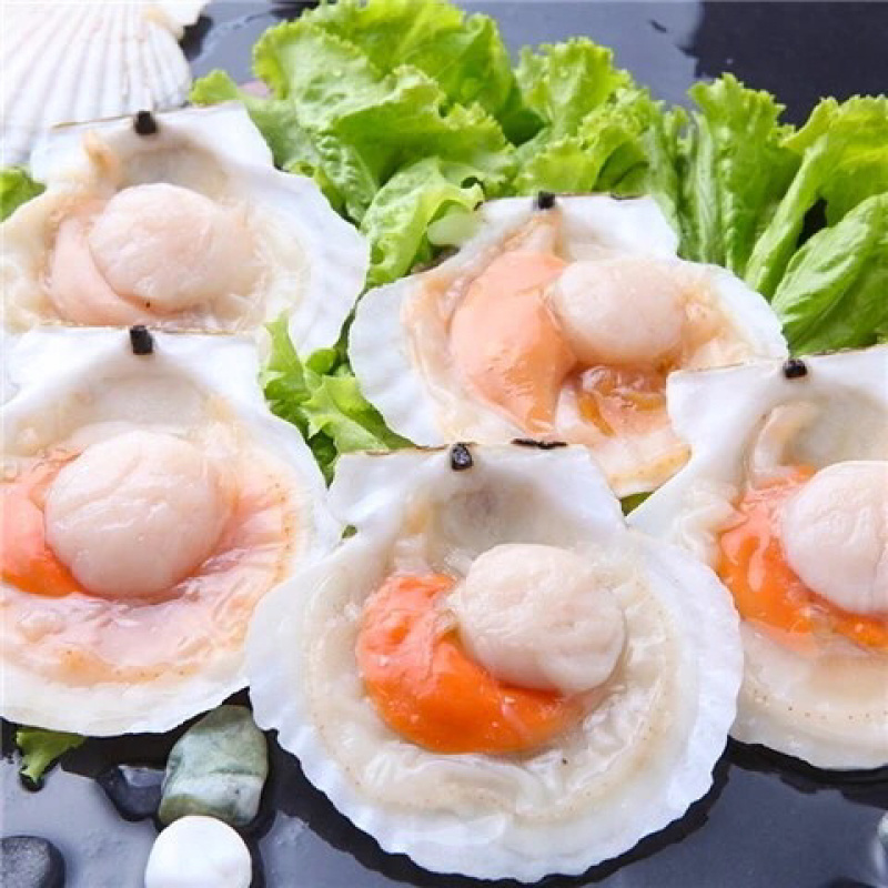 半壳扇贝大帆立贝肉冷冻特大带黄扇贝肉烧烤食材半壳虾夷贝