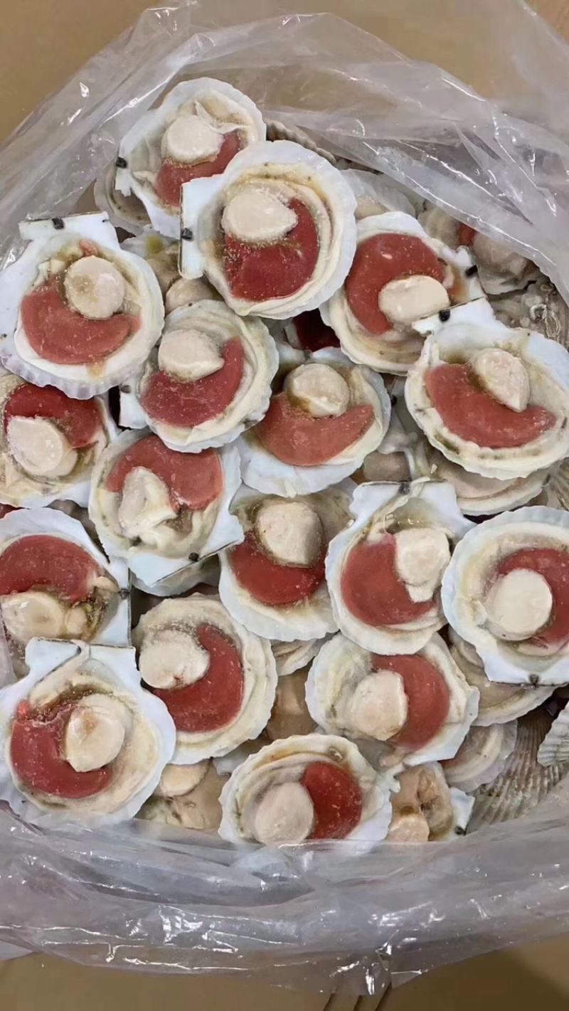 半壳扇贝大帆立贝肉冷冻特大带黄扇贝肉烧烤食材半壳虾夷贝
