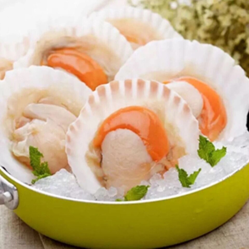 半壳扇贝大帆立贝肉冷冻特大带黄扇贝肉烧烤食材半壳虾夷贝