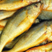 小黄鱼含冰约20%东海小黄鱼产地直销来自浙江台州温岭