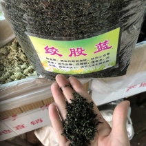 绞股蓝干净无杂质免洗直接泡茶无硫磺