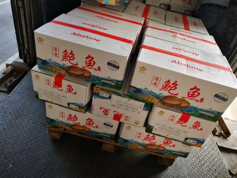 活冻去内脏鲍鱼