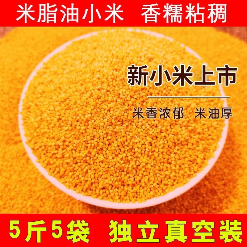 优质蛋白质含量丰富小米黄米