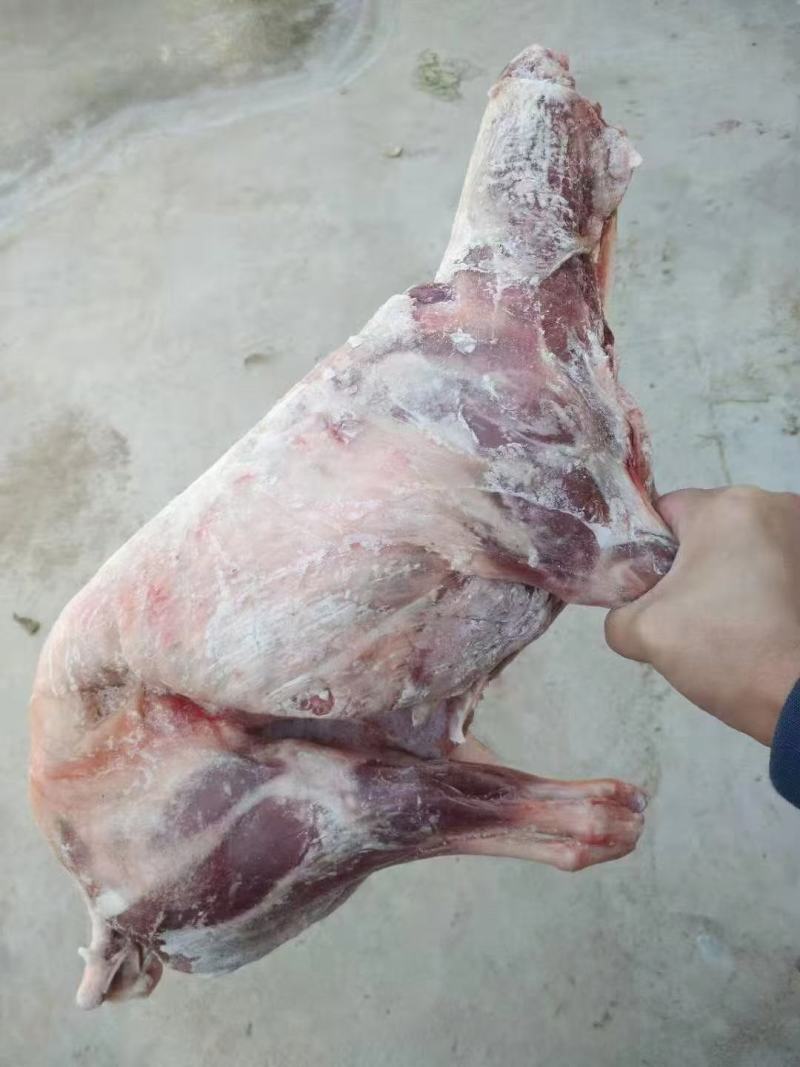 烤全羊