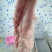 猪板油纯净（南宁地区）