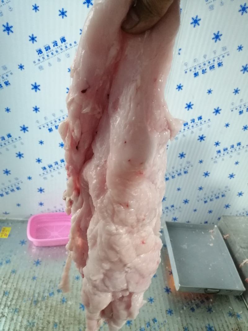 猪板油纯净（南宁地区）