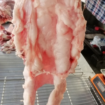 猪板油纯净（南宁地区）