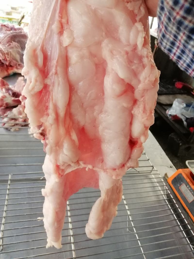 猪板油纯净（南宁地区）