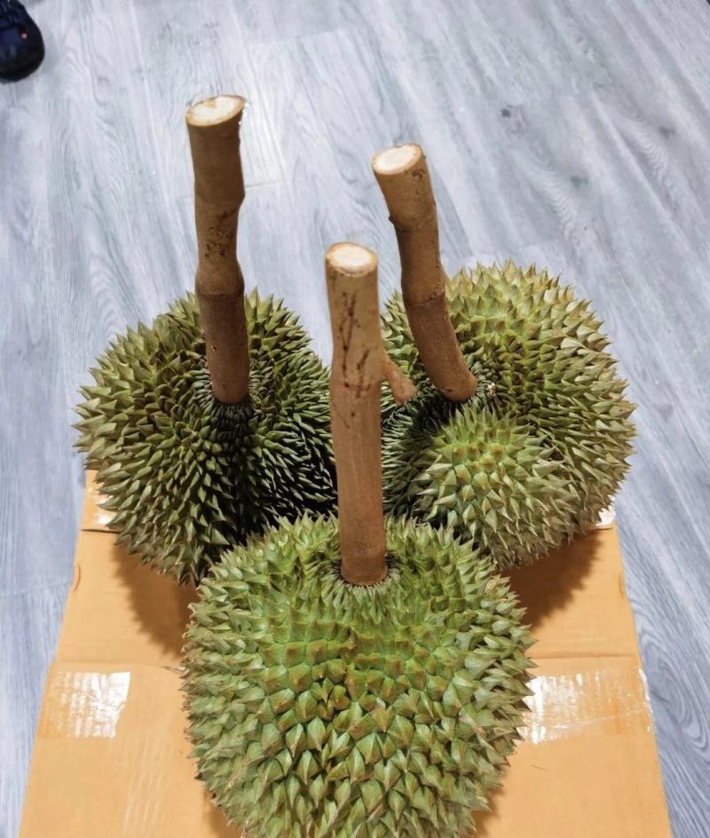 猫山王榴莲热销当季托曼尼，甲仑，金枕榴莲批发一件代发