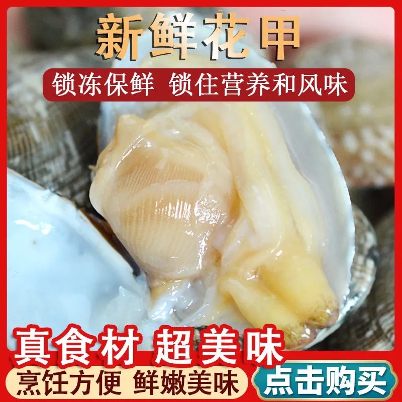 新鲜鲜活超大无沙蛤蜊花蛤文蛤花甲贝类海鲜深海美贝