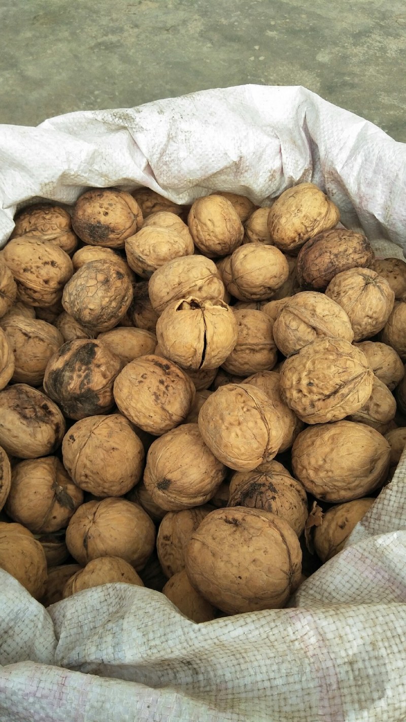 汾阳核桃礼品2号