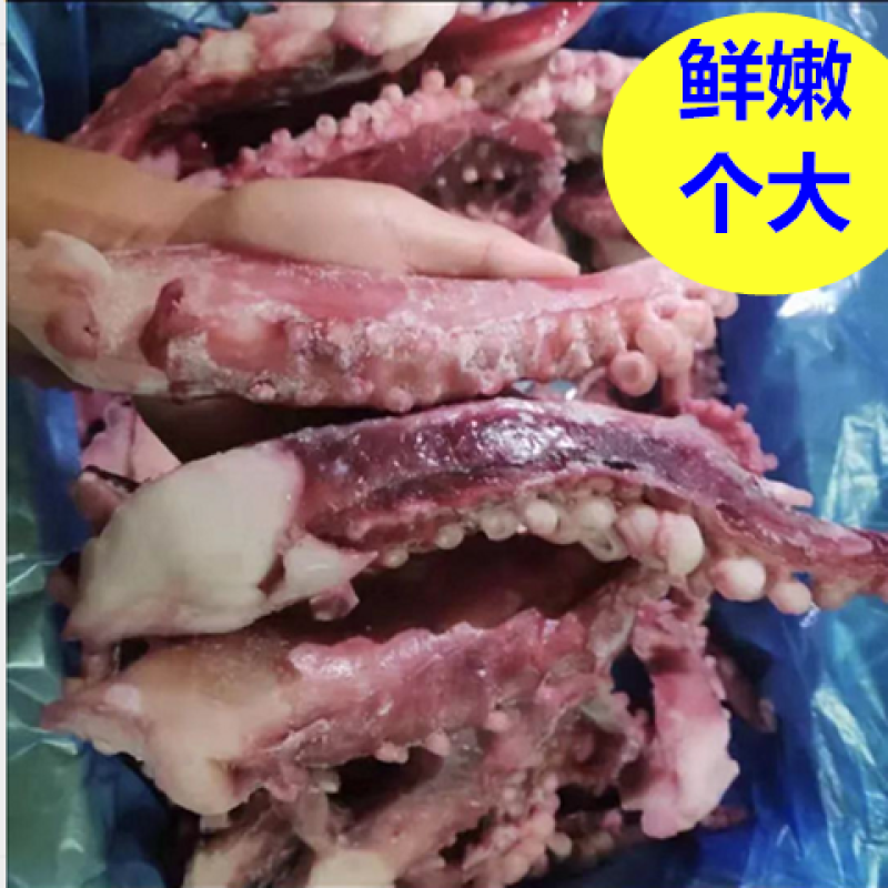 章鱼须新鲜冷冻海鲜脆口鱿鱼须大号章鱼足新鲜速冻八爪鱼爽口