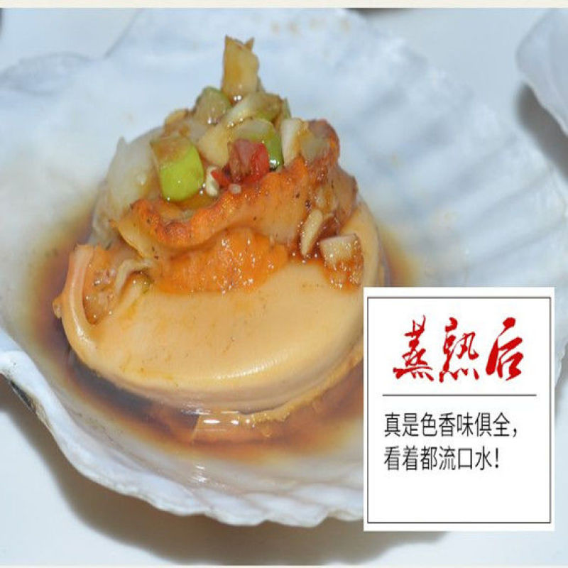 大扇贝鲜活扇贝水产贝类烧烤必备