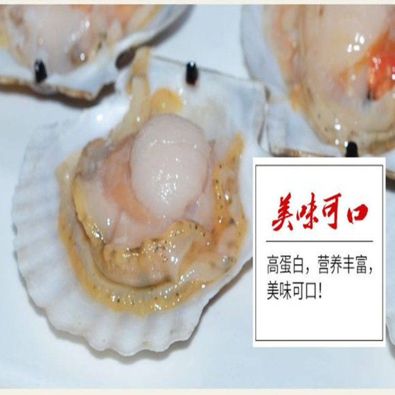 大扇贝鲜活扇贝水产贝类烧烤必备