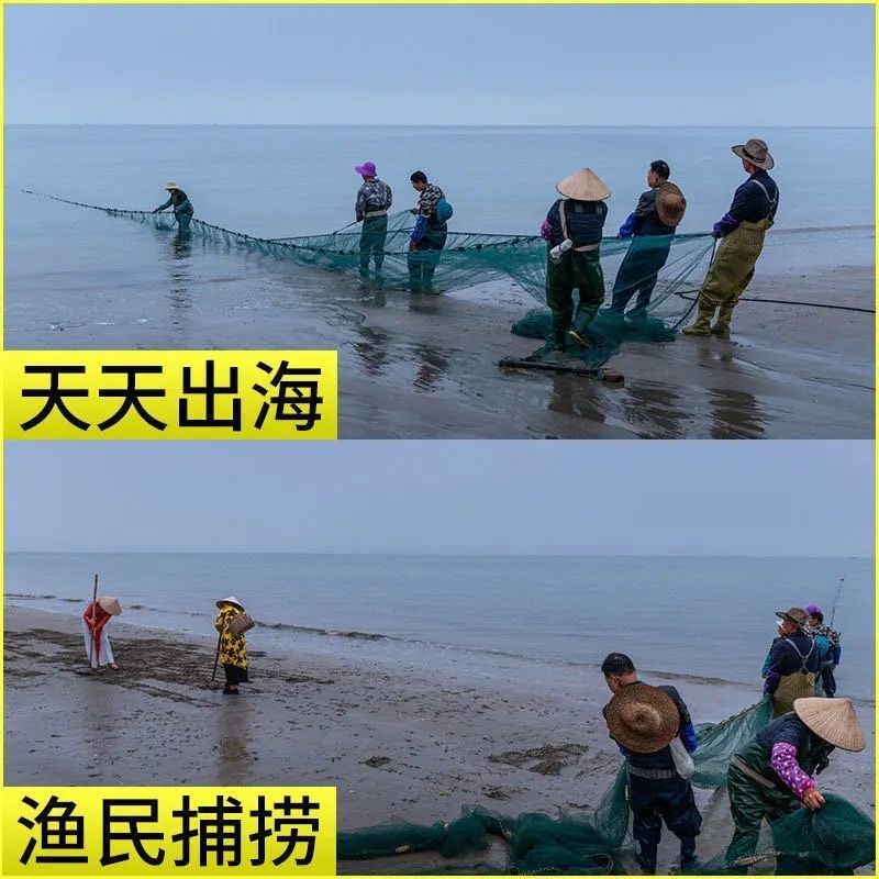 大虾超大海虾鲜活冷冻白对虾虾大虾新鲜海捕大虾海鲜非基围虾