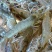 大虾超大海虾鲜活冷冻白对虾虾大虾新鲜海捕大虾海鲜非基围虾