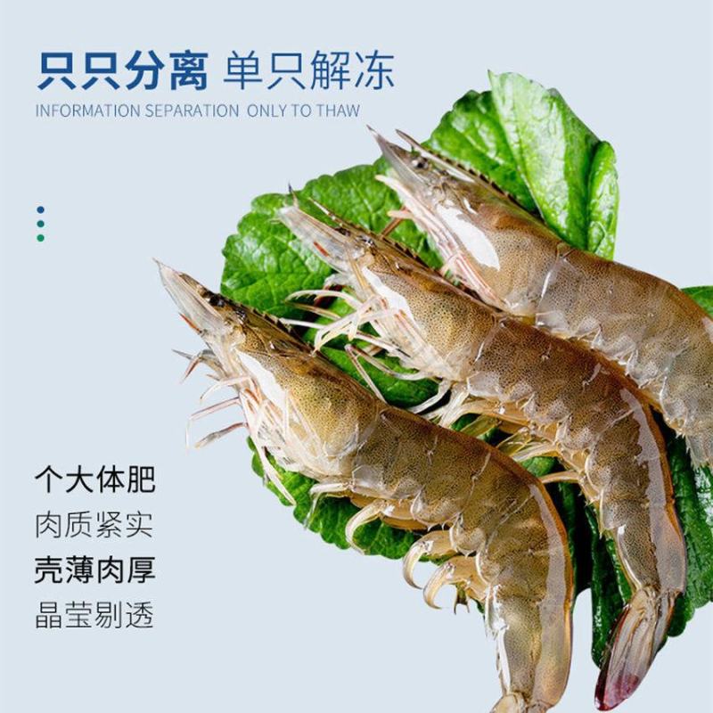 大虾超大海虾鲜活冷冻白对虾虾大虾新鲜海捕大虾海鲜非基围虾