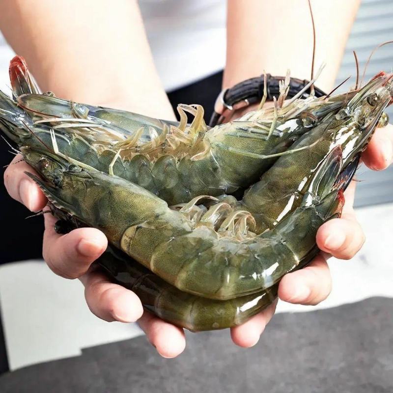 大虾超大海虾鲜活冷冻白对虾虾大虾新鲜海捕大虾海鲜非基围虾