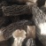 羊肚菌干品大量上市量大价优欢迎老板咨询基地一手货源