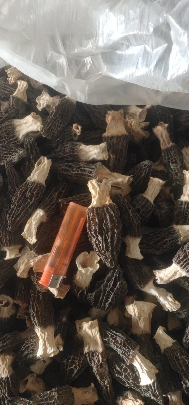羊肚菌干品大量上市量大价优欢迎老板咨询基地一手货源