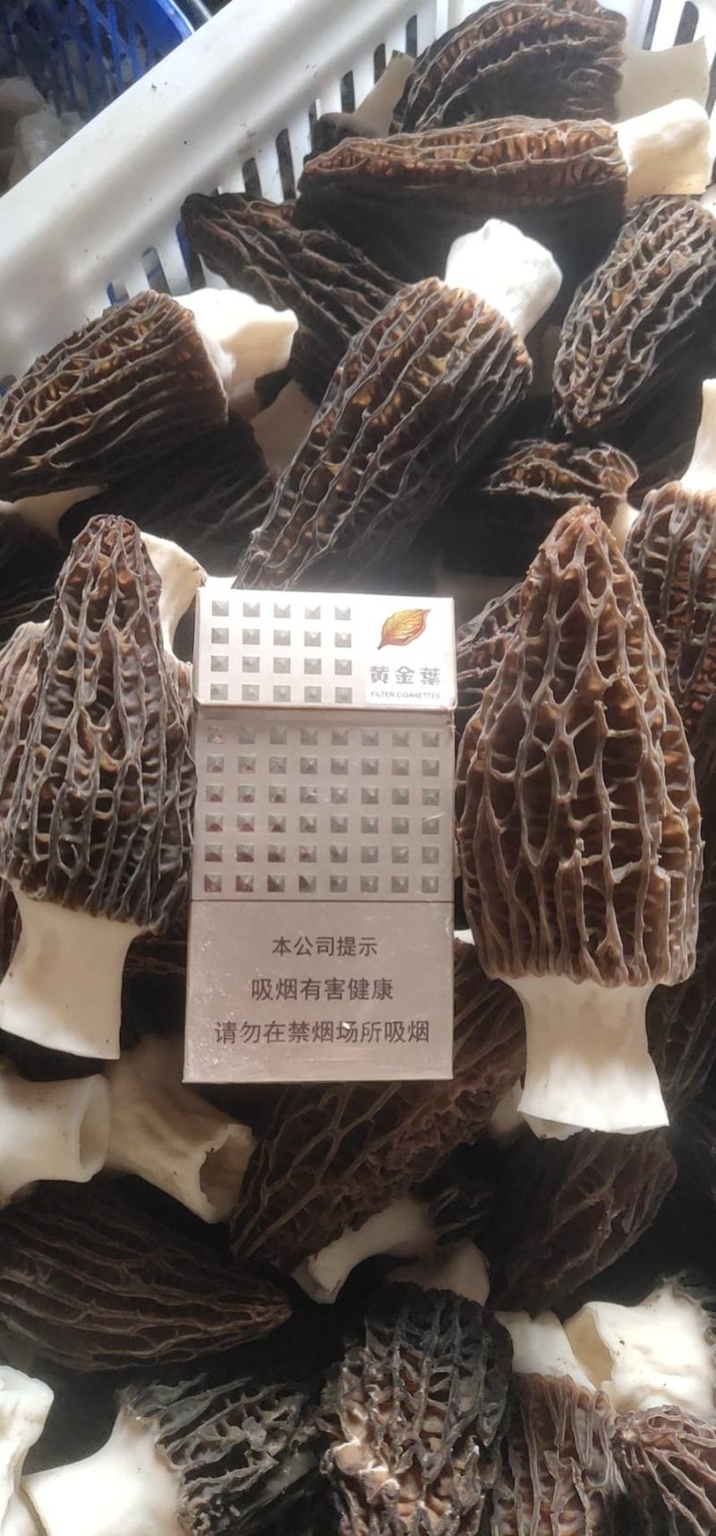 羊肚菌干品大量上市量大价优欢迎老板咨询基地一手货源