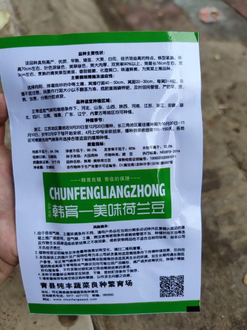 韩育美味荷兰豆种子，荚翠绿色，英大肉厚双荚率90%以上