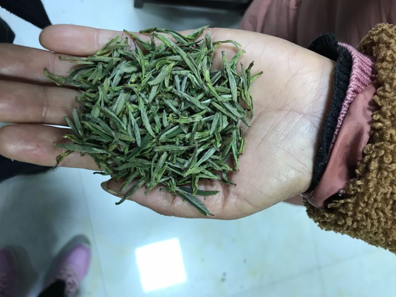 绿茶黄山毛峰，自家茶园、无中间商价格便宜。品质有保证