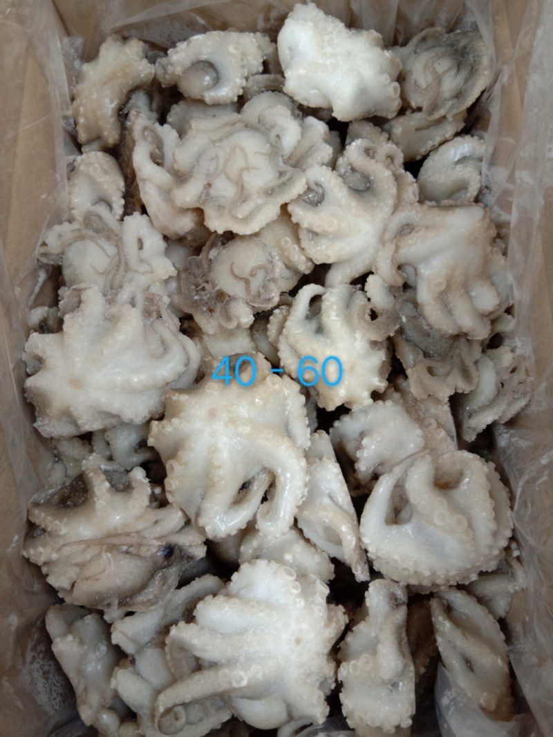 干冰翻花盐磨八爪鱼，质量杠杠的滴价格美丽，一手货源欢迎