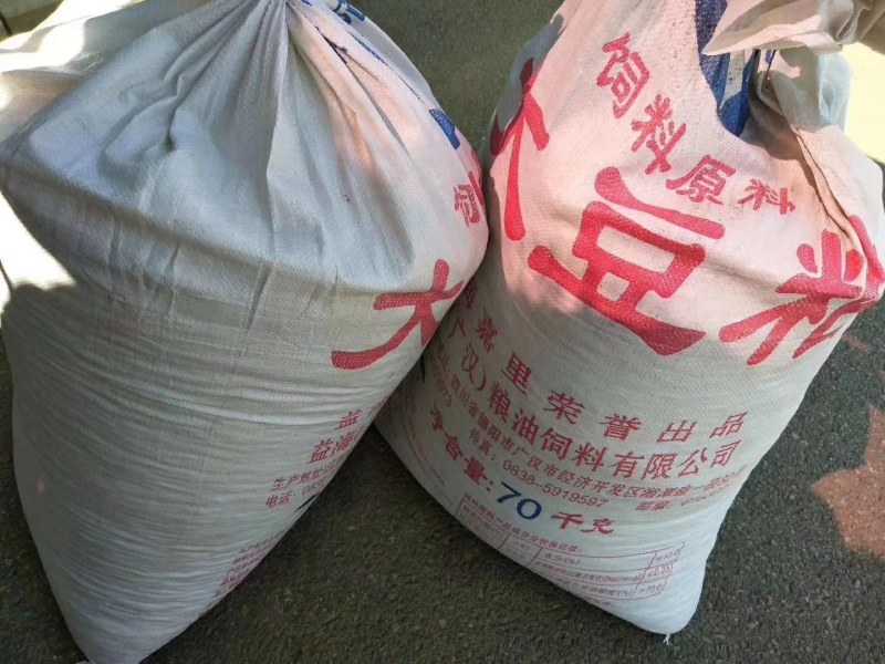 黄连木种子优质品种供应批发