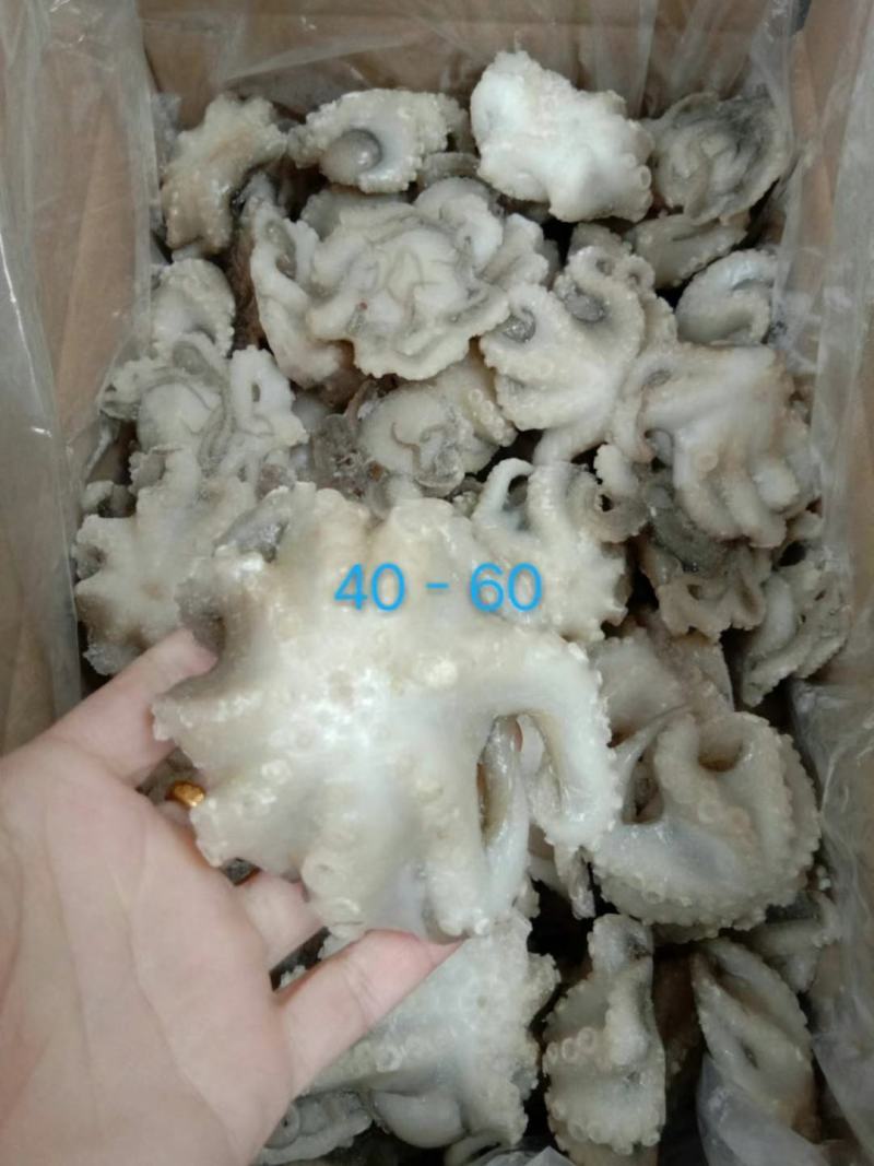 火锅小八爪鱼，质量好价格优。
