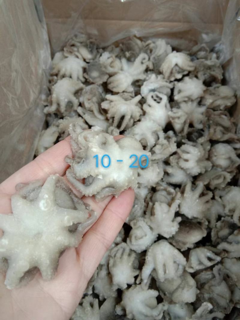 火锅小八爪鱼，质量好价格优。