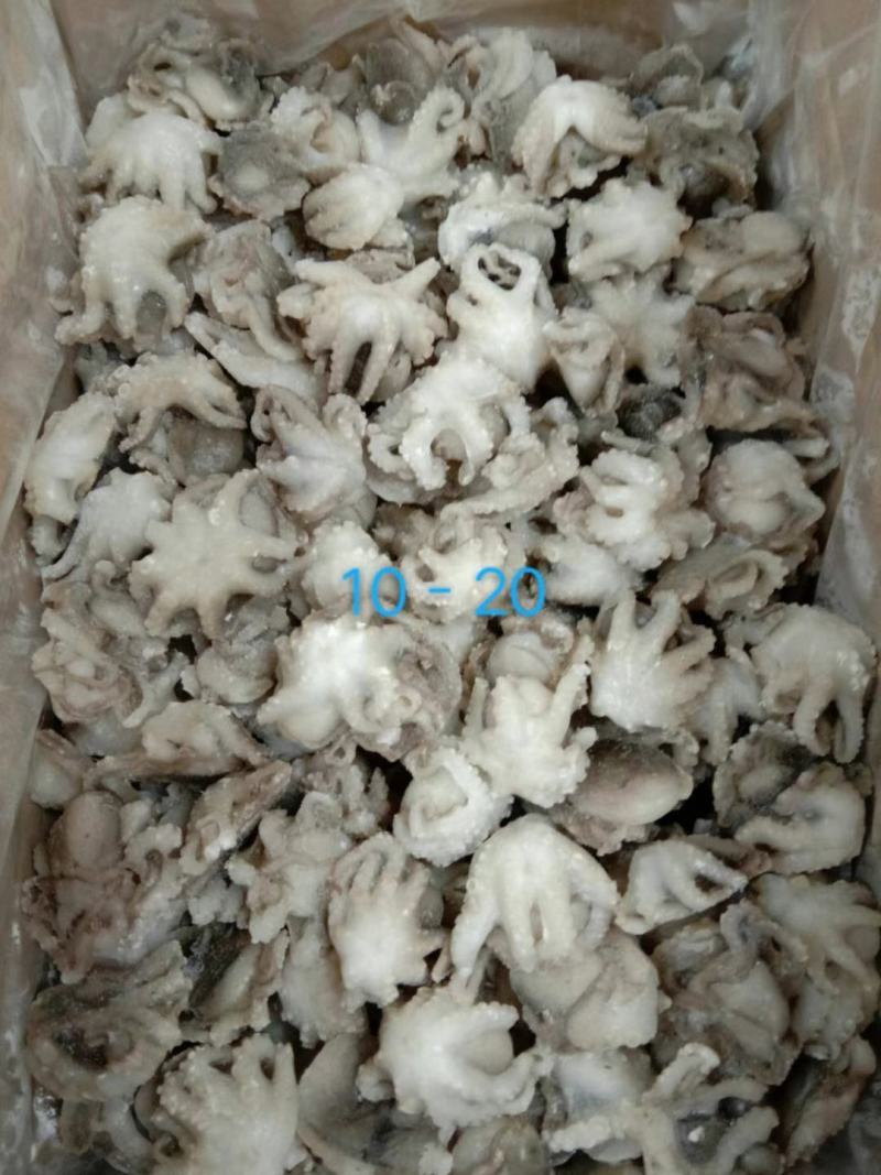 火锅小八爪鱼，质量好价格优。