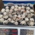 火锅小八爪鱼，质量好价格优。