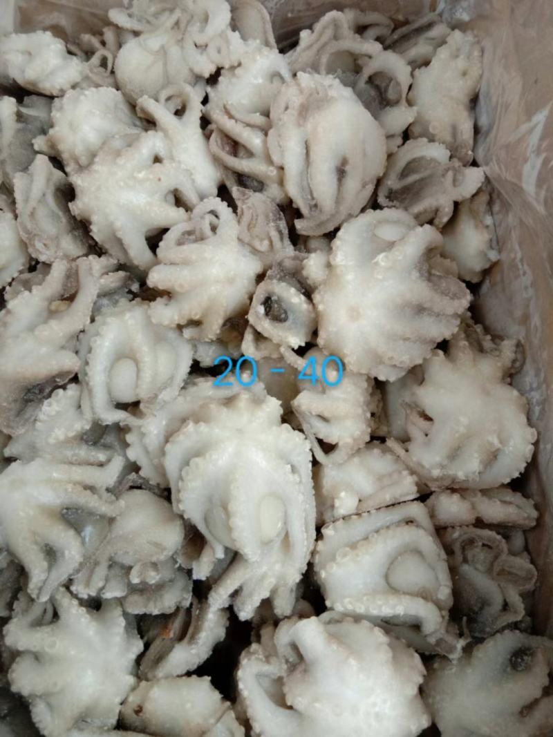 火锅小八爪鱼，质量好价格优。