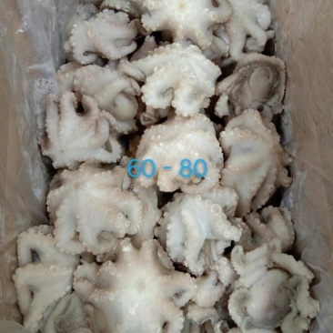 火锅小八爪鱼，质量好价格优。