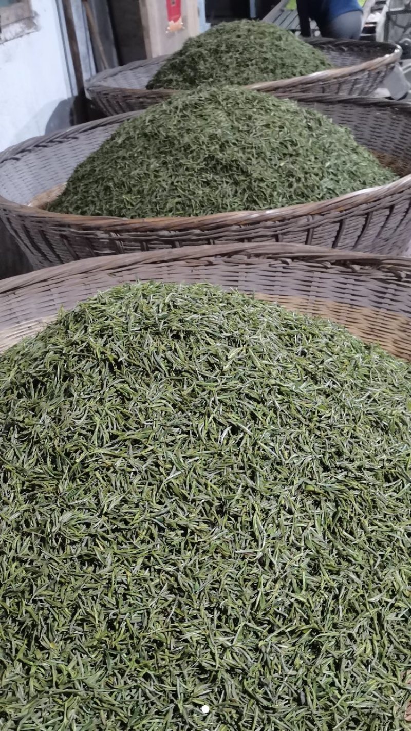 绿茶黄山毛峰，自家茶园、无中间商价格便宜。品质有保证