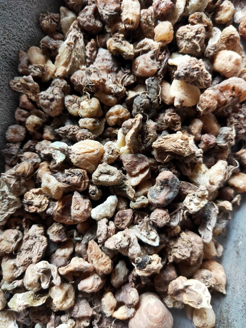 山茨菇毛茨菇纯干吴无硫量大货好产地直发