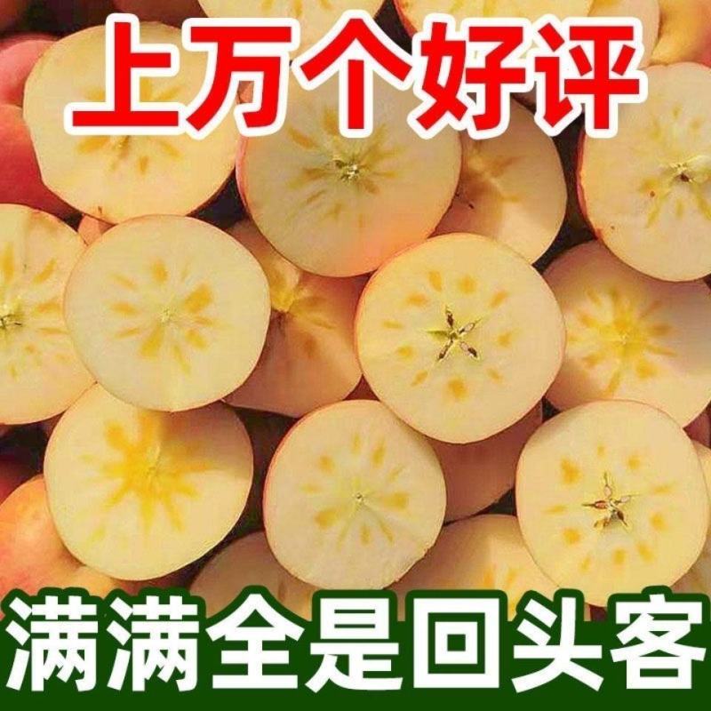 【精品】烟台红富士苹果当季山东新鲜水果私发