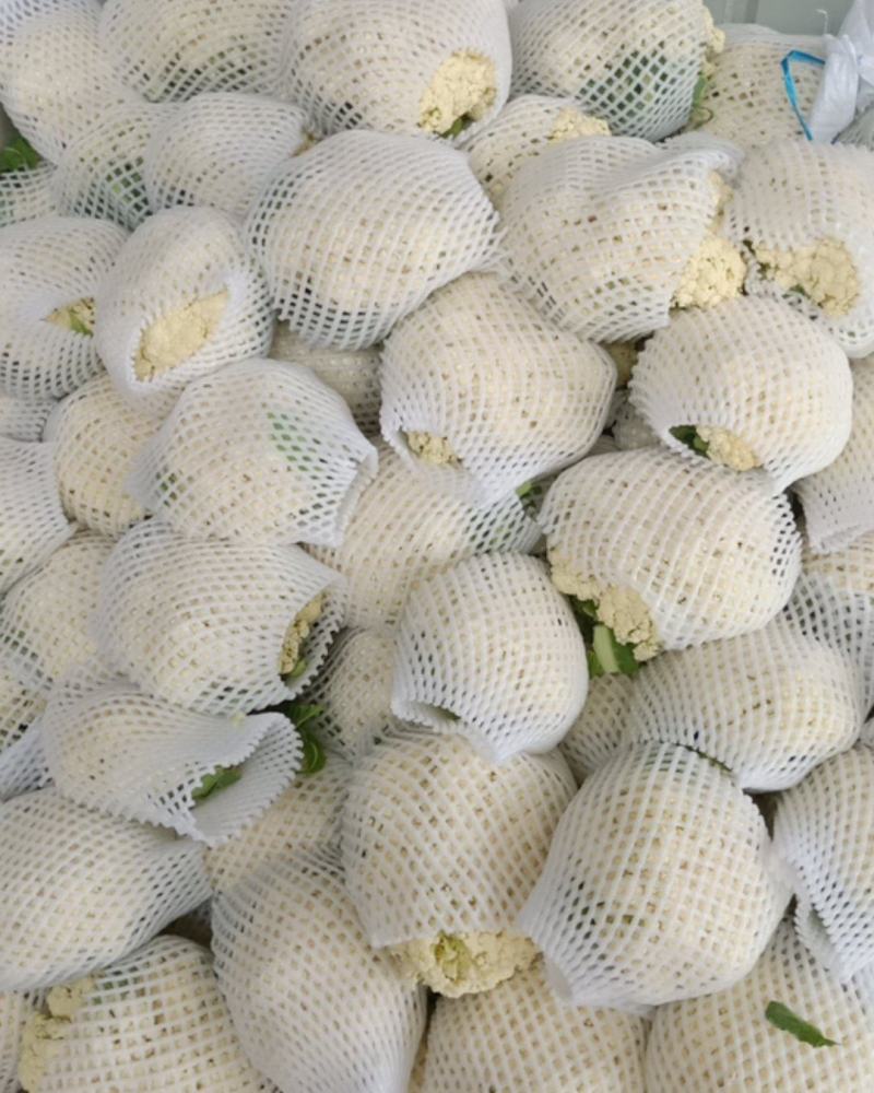 松花菜，散花，松花，有机菜花，咸阳有机花，陕西松花，三原