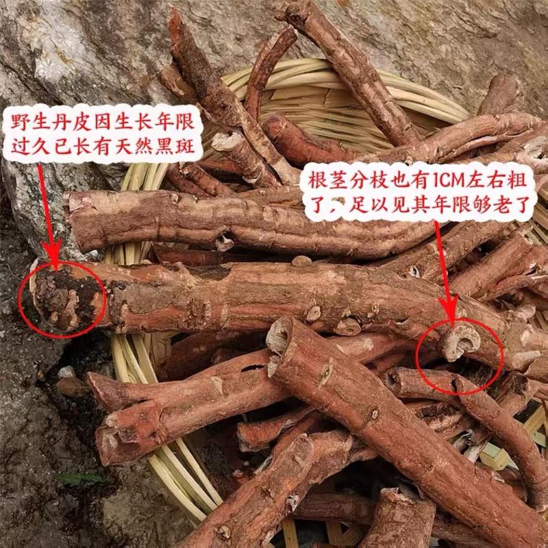 中药材丹皮牡丹皮货品质量保证批发各种中药材