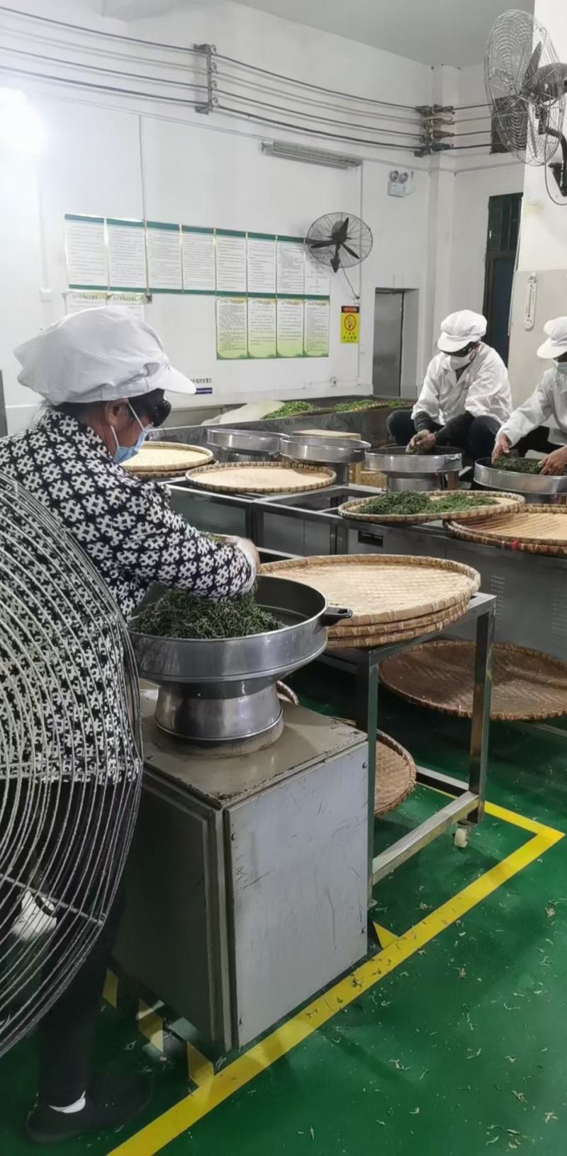 野生一级