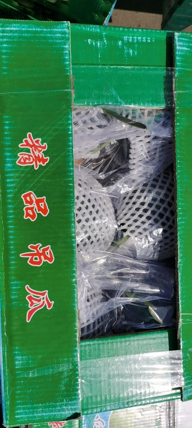 宁夏小吊瓜大量上市，货量集中，口感甘甜