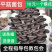 平菇菌包食用菌蘑菇菌包跑江湖摆地摊现货供应