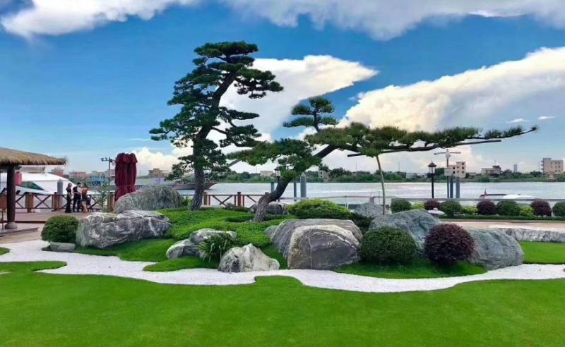 泰山石，雪浪石，切片石，刻字石，草坪石，风景石，泰山石假