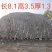 泰山石，雪浪石，切片石，刻字石，草坪石，风景石，泰山石假