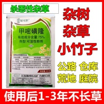 瑞邦绿无影75%甲嘧磺隆公路铁路机场荒地烂根型除草剂